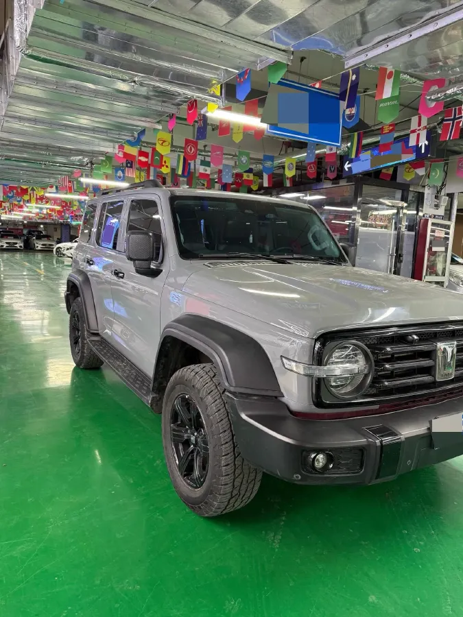 2021 Tank 300 2.0T 227HP L4 8AT,autocango,china used car exporter,china ev exporter,chinese used car exporter,chinese used ev exporter