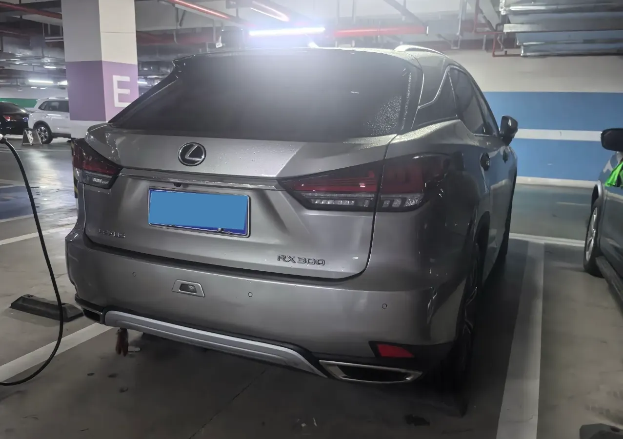 2020 Lexus RX 2.0T 231HP L4 6AT,autocango,china used car exporter,china ev exporter,chinese used car exporter,chinese used ev exporter