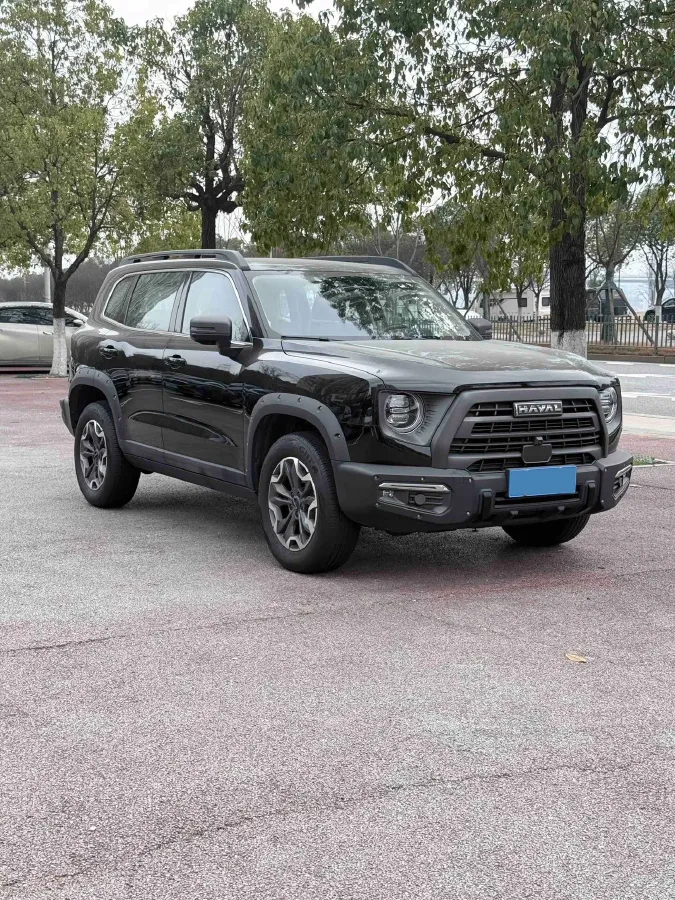 2024 Haval Dargo 2.0T 238HP L4 9DCT,autocango,china used car exporter,china ev exporter,chinese used car exporter,chinese used ev exporter