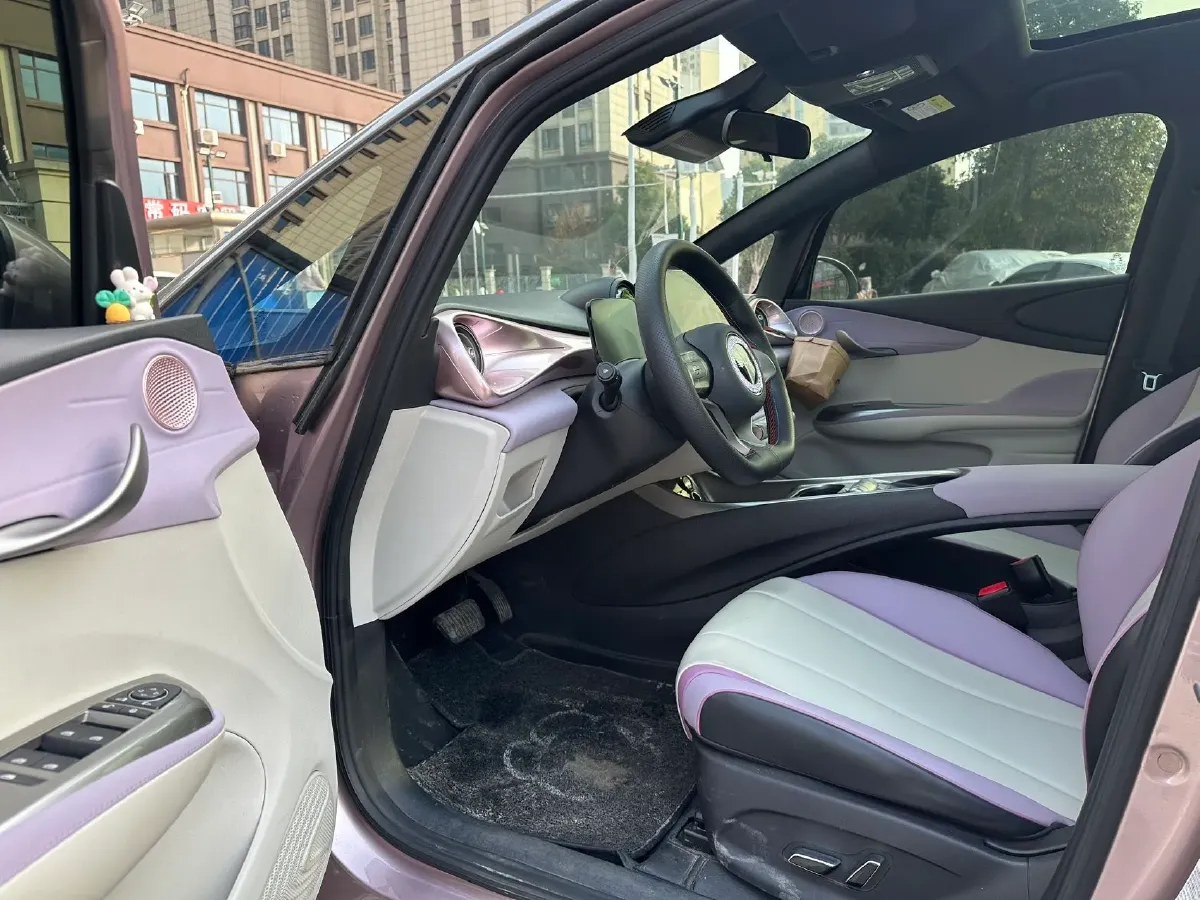 2021 BYD e2 BEV 43.2KWH,autocango,china used car exporter,china ev exporter,chinese used car exporter,chinese used ev exporter