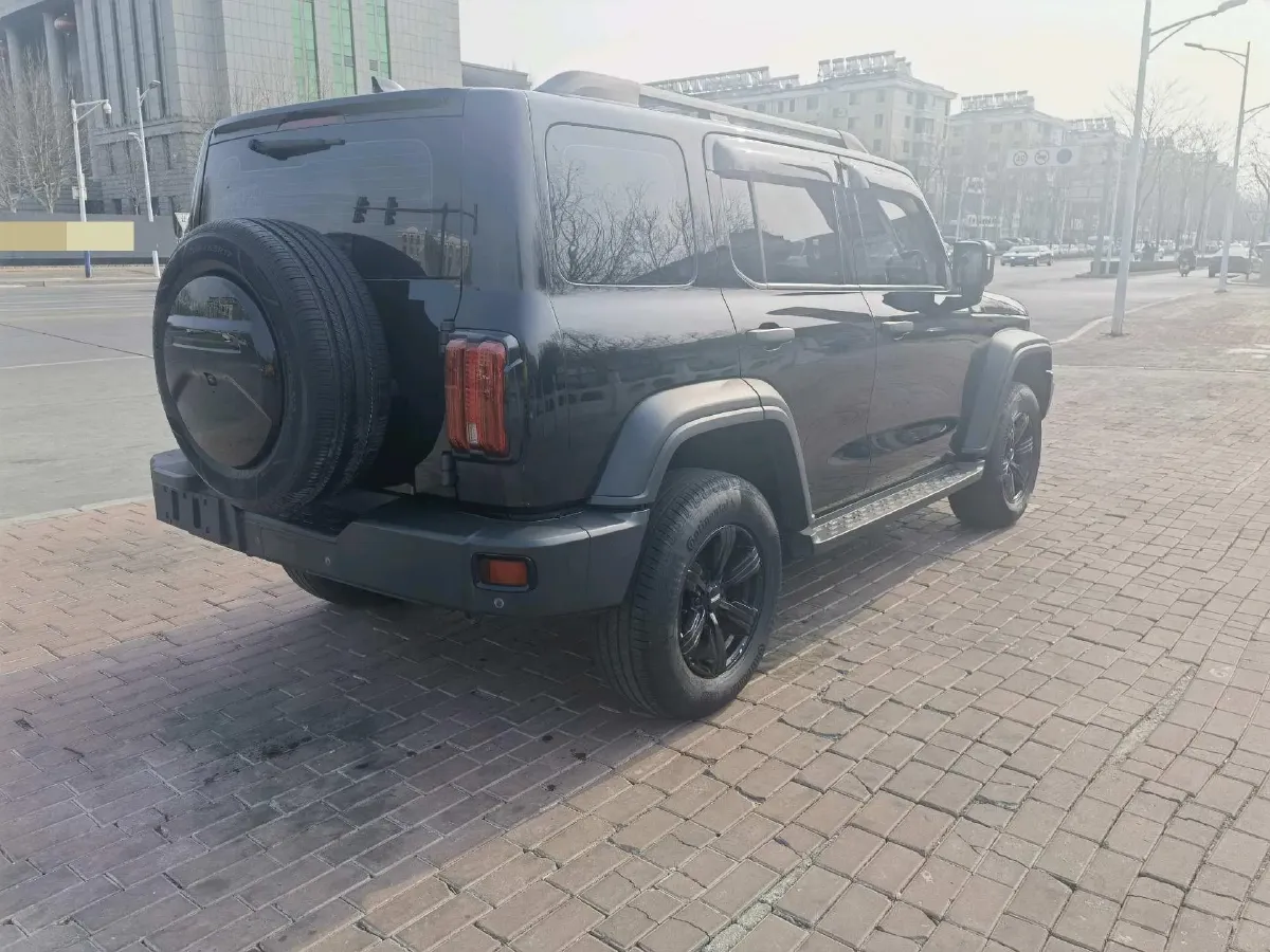 2021 Tank 300 2.0T 227HP L4 8AT,autocango,china used car exporter,china ev exporter,chinese used car exporter,chinese used ev exporter