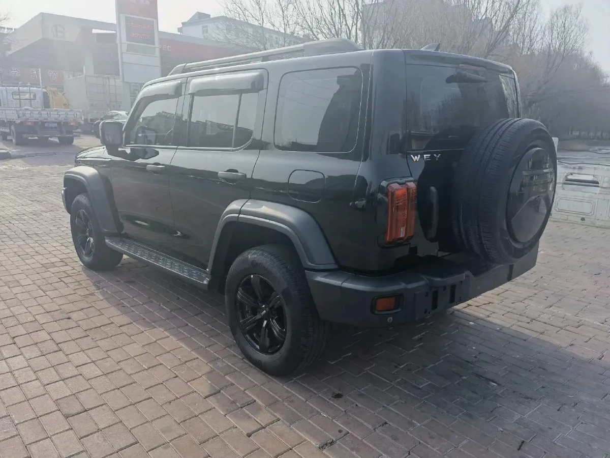 2021 Tank 300 2.0T 227HP L4 8AT,autocango,china used car exporter,china ev exporter,chinese used car exporter,chinese used ev exporter