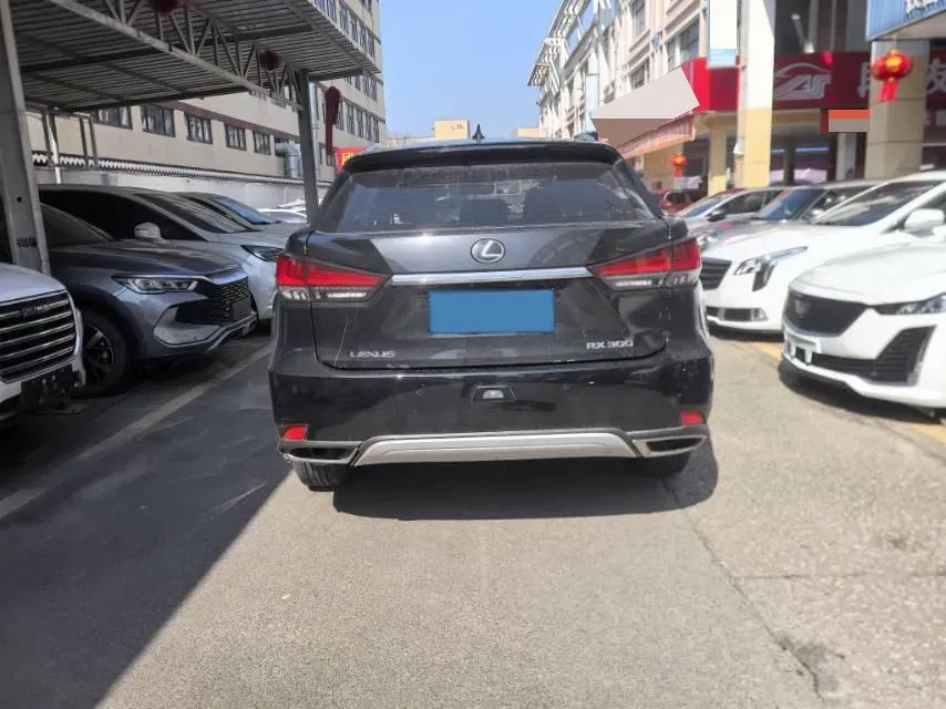 2020 Lexus RX 2.0T 231HP L4 6AT,autocango,china used car exporter,china ev exporter,chinese used car exporter,chinese used ev exporter
