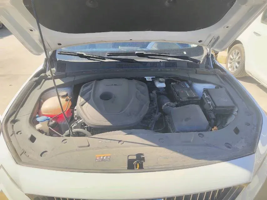 2021 Geely Preface 2.0T 190HP L4 7DCT,autocango,china used car exporter,china ev exporter,chinese used car exporter,chinese used ev exporter