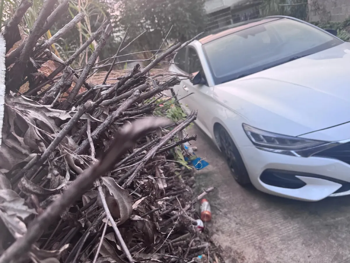 2021 Hyundai La Festa 1.6T 204HP L4 7DCT,autocango,china used car exporter,china ev exporter,chinese used car exporter,chinese used ev exporter