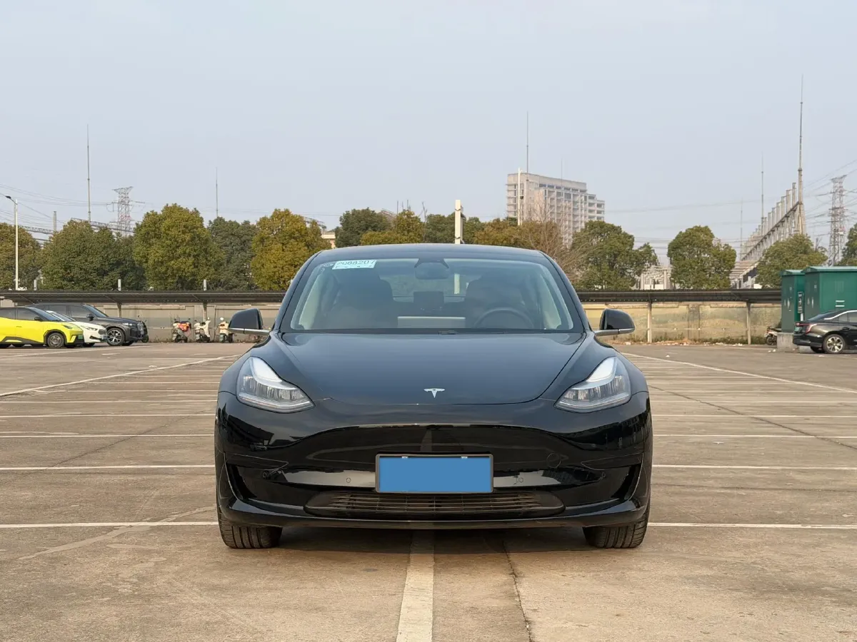 2020 Tesla Model 3 BEV 52KWH,autocango,china used car exporter,china ev exporter,chinese used car exporter,chinese used ev exporter