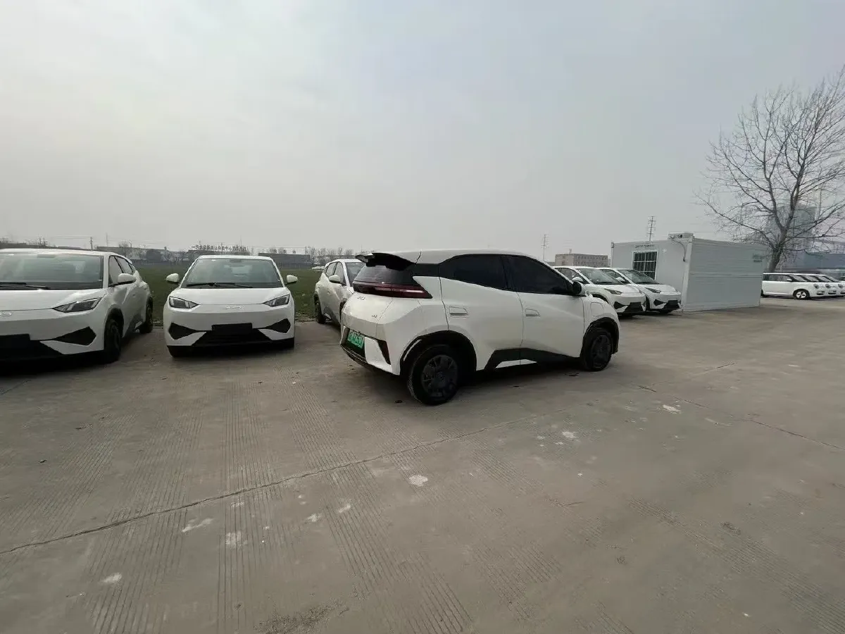 2025 BYD Seagull BEV 30.08KWH,autocango,china used car exporter,china ev exporter,chinese used car exporter,chinese used ev exporter