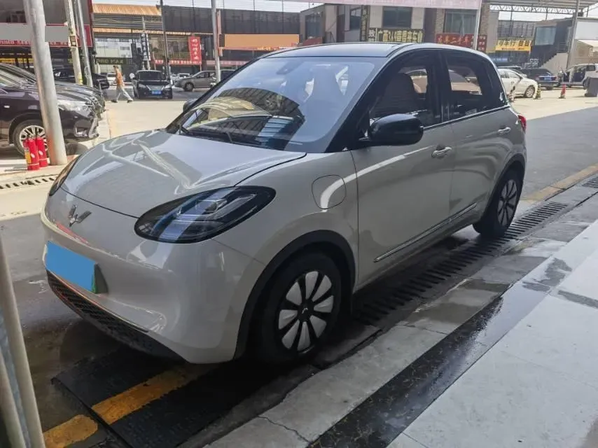 2023 WuLing BinGuo BEV 31.9KWH,autocango,china used car exporter,china ev exporter,chinese used car exporter,chinese used ev exporter