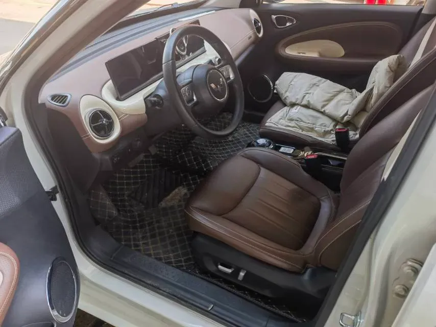 2023 WuLing BinGuo BEV 31.9KWH,autocango,china used car exporter,china ev exporter,chinese used car exporter,chinese used ev exporter