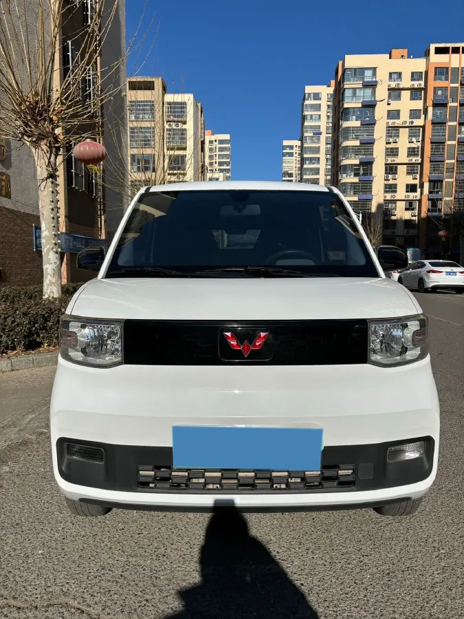 2020 WuLing HongGuang MINI EV BEV 13.8KWH,autocango,china used car exporter,china ev exporter,chinese used car exporter,chinese used ev exporter