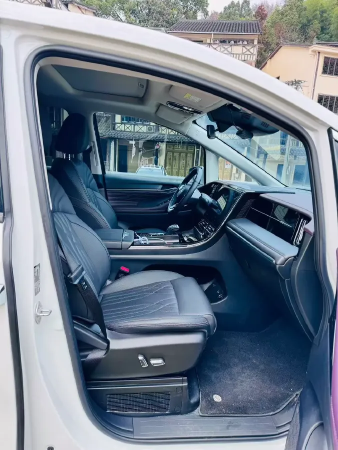 2024 GAC Trumpchi M8 2.0T 252HP L4 8AT,autocango,china used car exporter,china ev exporter,chinese used car exporter,chinese used ev exporter