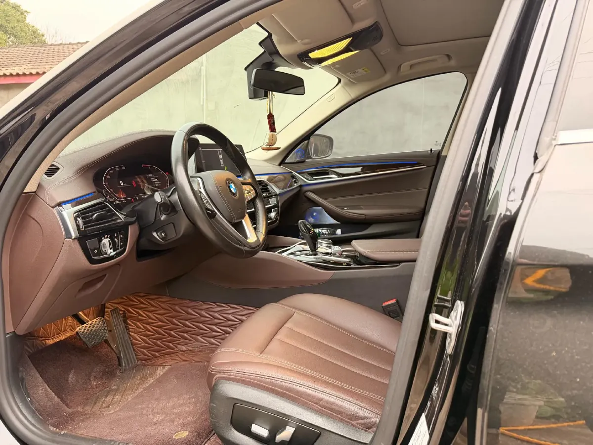 2020 BMW 5 Series 2.0T 184HP L4 8AT,autocango,china used car exporter,china ev exporter,chinese used car exporter,chinese used ev exporter