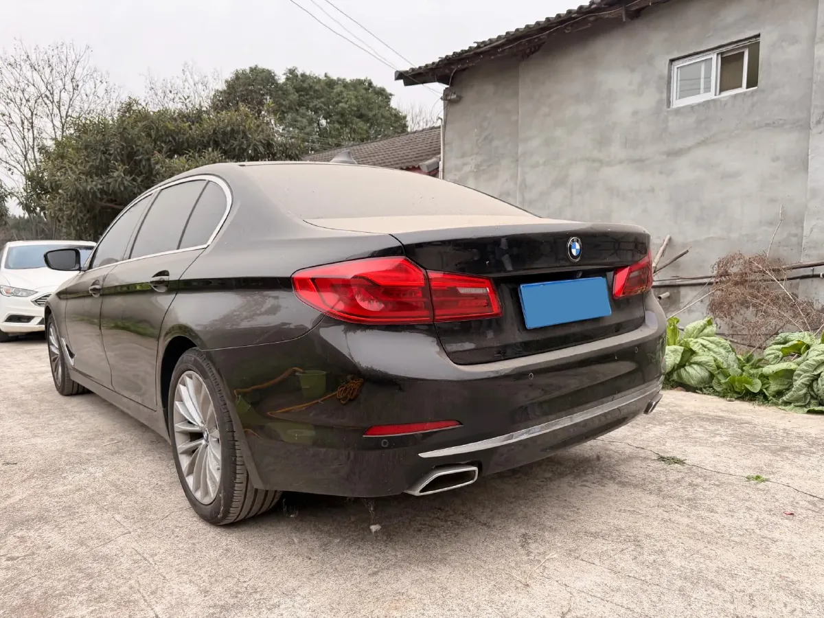 2020 BMW 5 Series 2.0T 184HP L4 8AT,autocango,china used car exporter,china ev exporter,chinese used car exporter,chinese used ev exporter