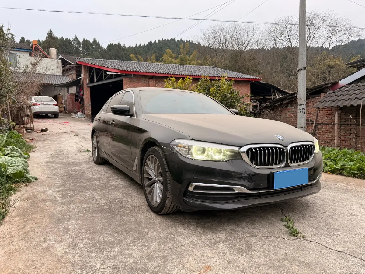 2020 BMW 5 Series 2.0T 184HP L4 8AT,autocango,china used car exporter,china ev exporter,chinese used car exporter,chinese used ev exporter