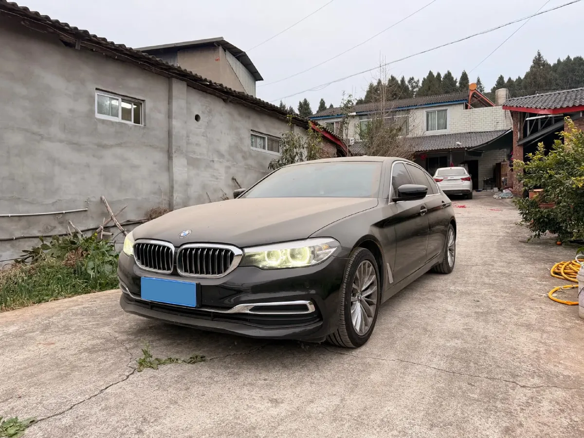 2020 BMW 5 Series 2.0T 184HP L4 8AT,autocango,china used car exporter,china ev exporter,chinese used car exporter,chinese used ev exporter