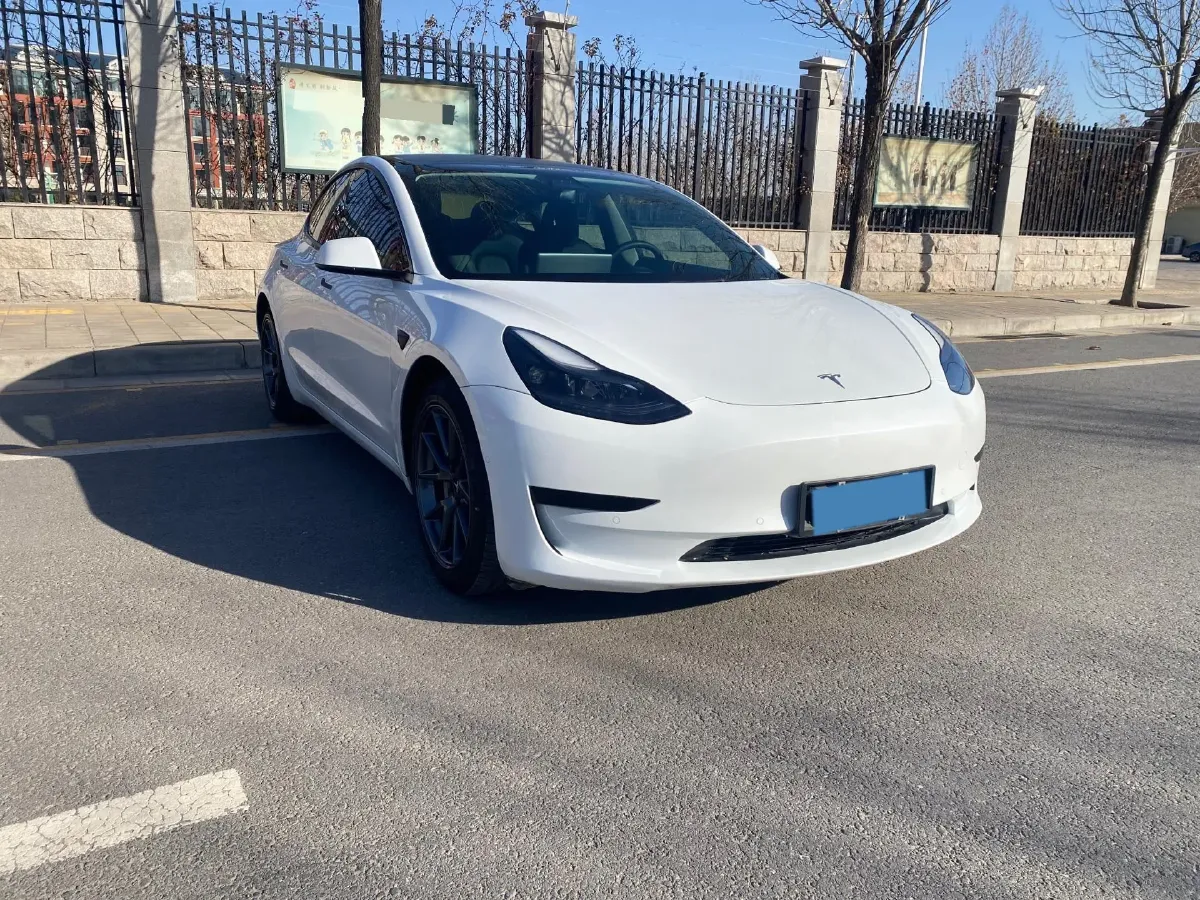 2021 Tesla Model 3 BEV 55KWH,autocango,china used car exporter,china ev exporter,chinese used car exporter,chinese used ev exporter