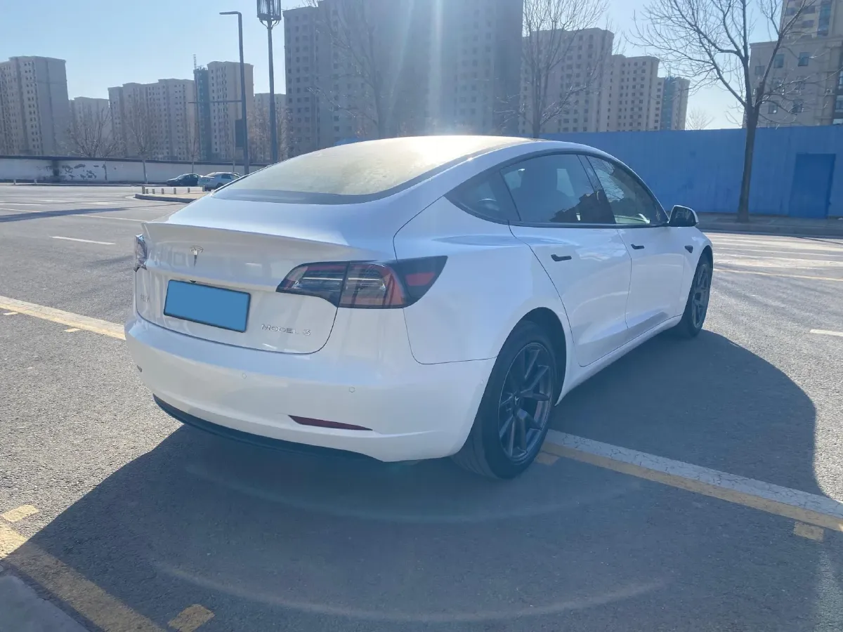 2021 Tesla Model 3 BEV 55KWH,autocango,china used car exporter,china ev exporter,chinese used car exporter,chinese used ev exporter