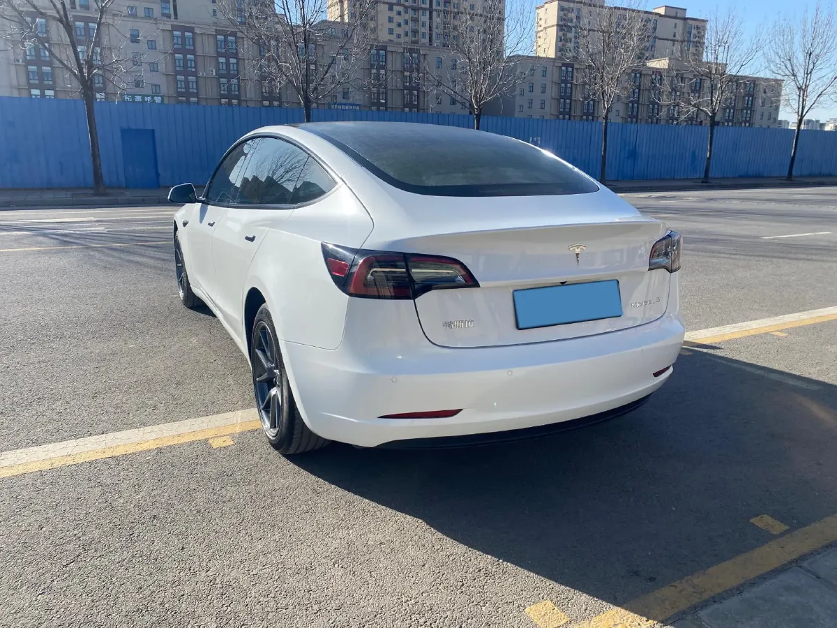 2021 Tesla Model 3 BEV 55KWH,autocango,china used car exporter,china ev exporter,chinese used car exporter,chinese used ev exporter