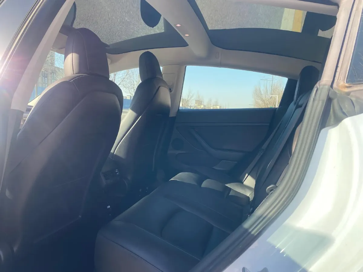 2021 Tesla Model 3 BEV 55KWH,autocango,china used car exporter,china ev exporter,chinese used car exporter,chinese used ev exporter