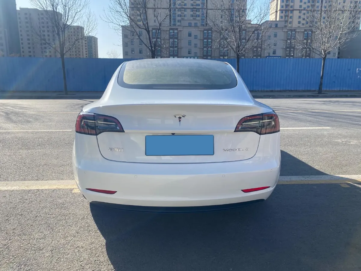 2021 Tesla Model 3 BEV 55KWH,autocango,china used car exporter,china ev exporter,chinese used car exporter,chinese used ev exporter