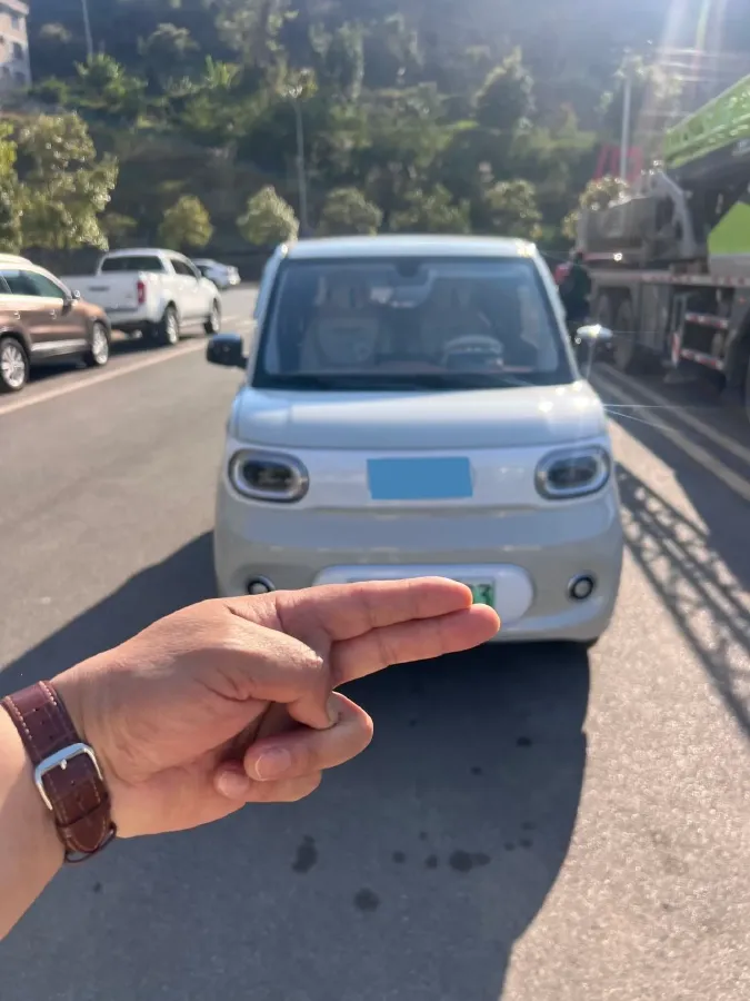 2021 WuLing Nano EV BEV 28KWH,autocango,china used car exporter,china ev exporter,chinese used car exporter,chinese used ev exporter