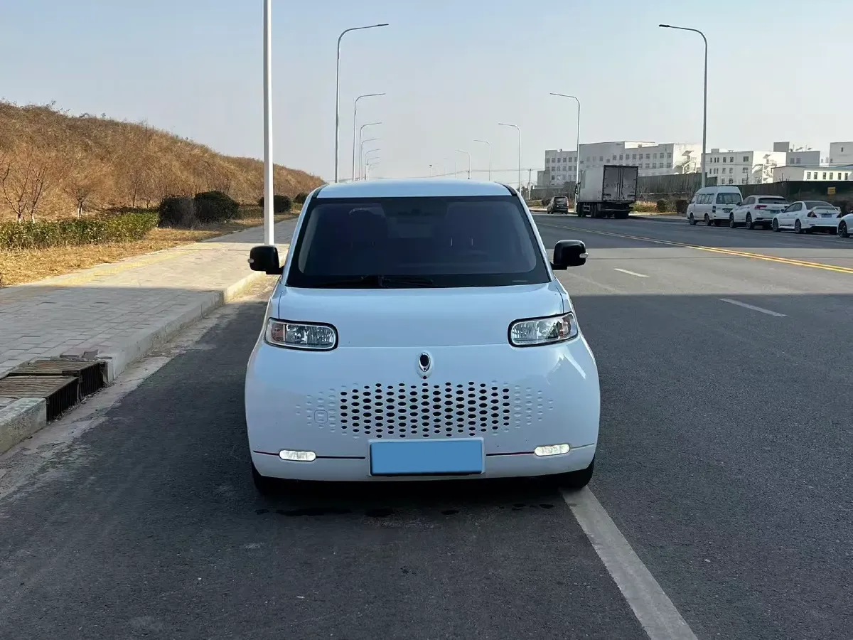 2020 Ora WhiteCat BEV 33KWH,autocango,china used car exporter,china ev exporter,chinese used car exporter,chinese used ev exporter