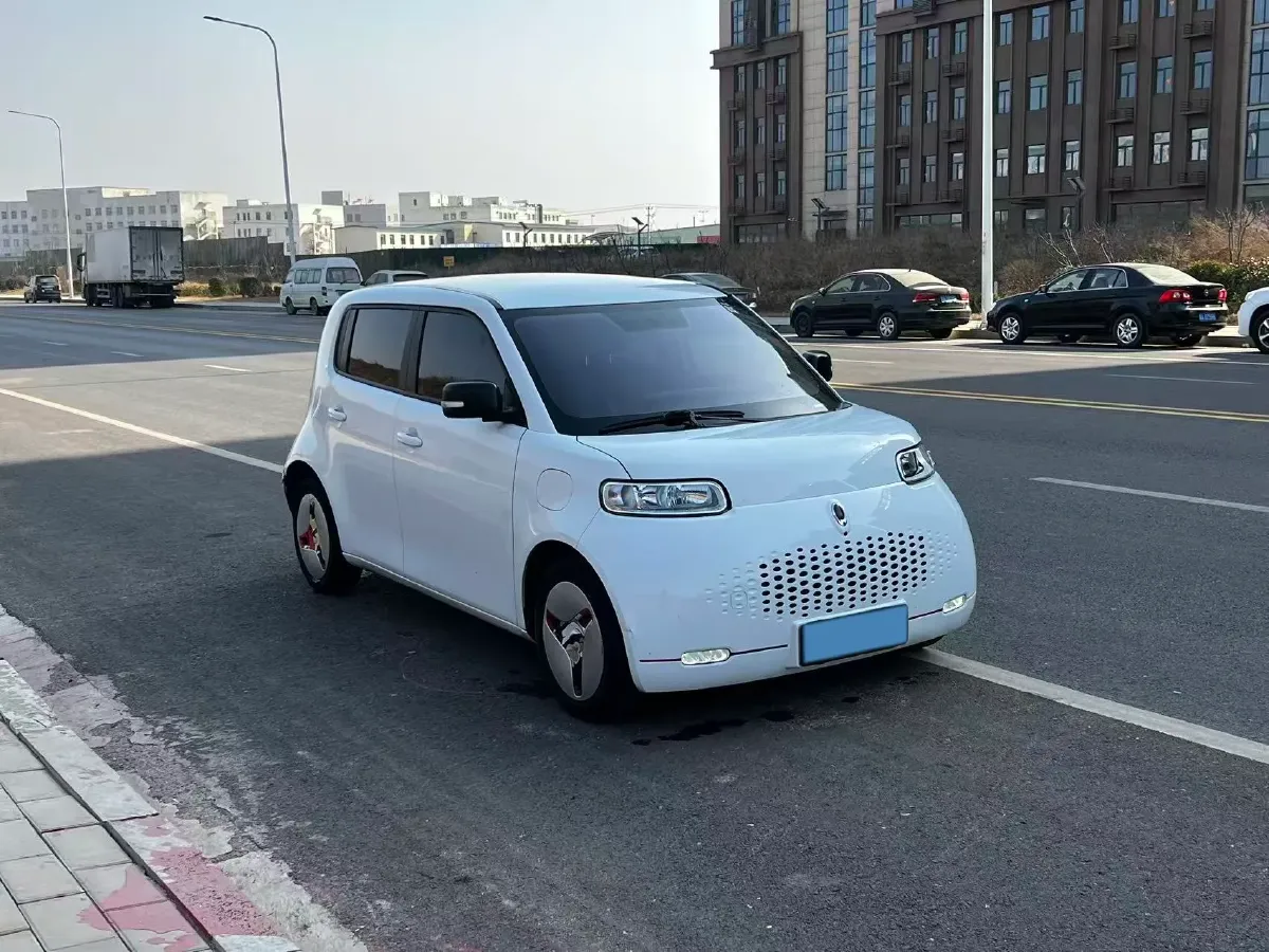 2020 Ora WhiteCat BEV 33KWH,autocango,china used car exporter,china ev exporter,chinese used car exporter,chinese used ev exporter