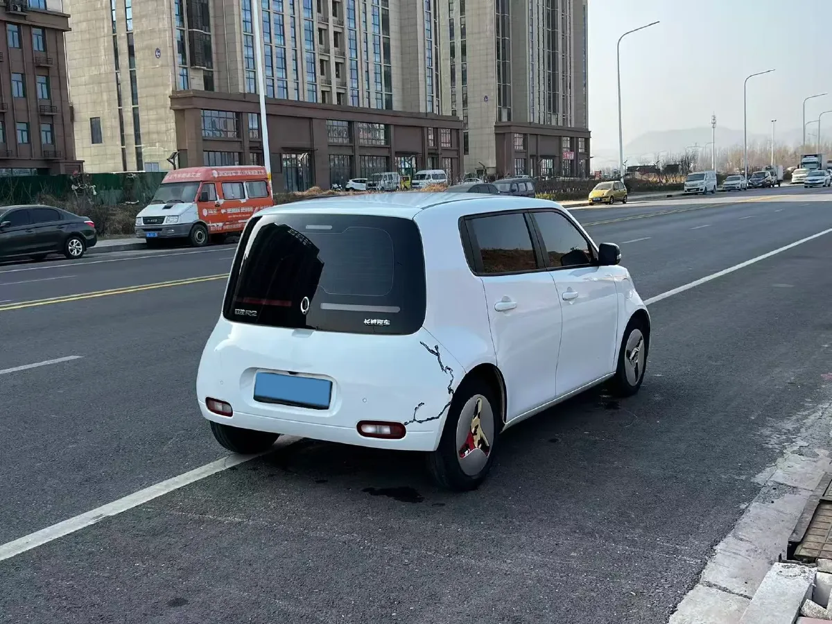 2020 Ora WhiteCat BEV 33KWH,autocango,china used car exporter,china ev exporter,chinese used car exporter,chinese used ev exporter