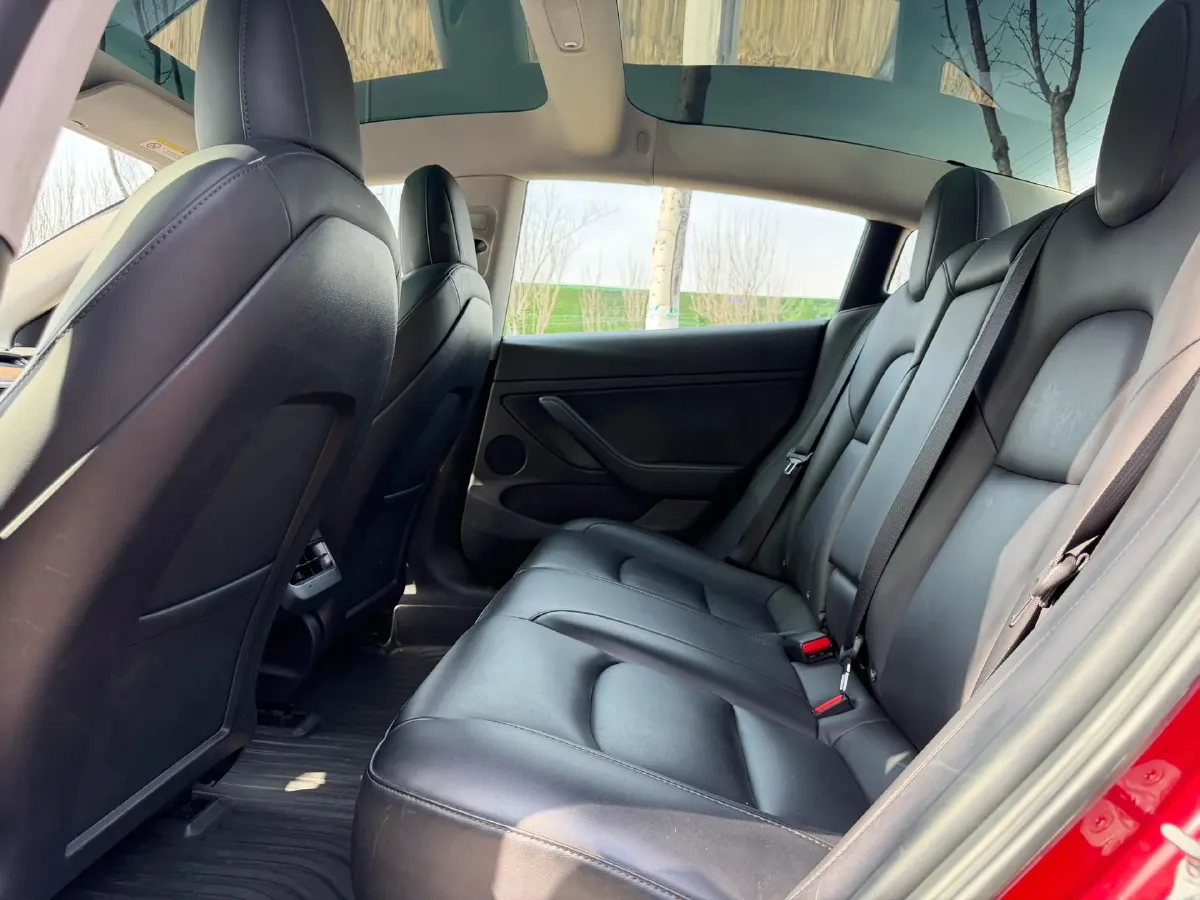 2021 Tesla Model 3 BEV 55KWH,autocango,china used car exporter,china ev exporter,chinese used car exporter,chinese used ev exporter