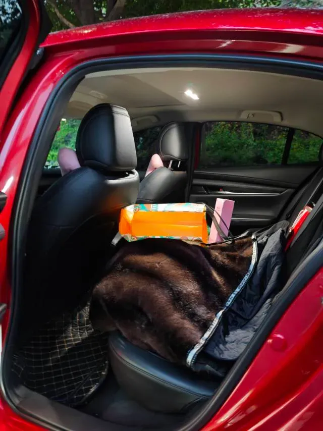 2021 Mazda 3 Axela 2.0L 158HP L4 6AT,autocango,china used car exporter,china ev exporter,chinese used car exporter,chinese used ev exporter