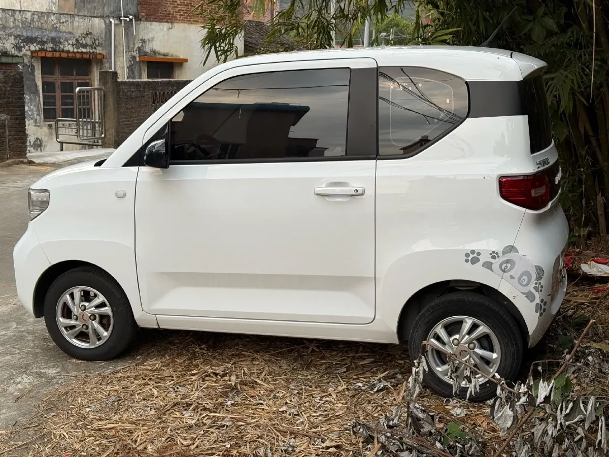 2020 WuLing HongGuang MINI EV BEV 9.3KWH,autocango,china used car exporter,china ev exporter,chinese used car exporter,chinese used ev exporter
