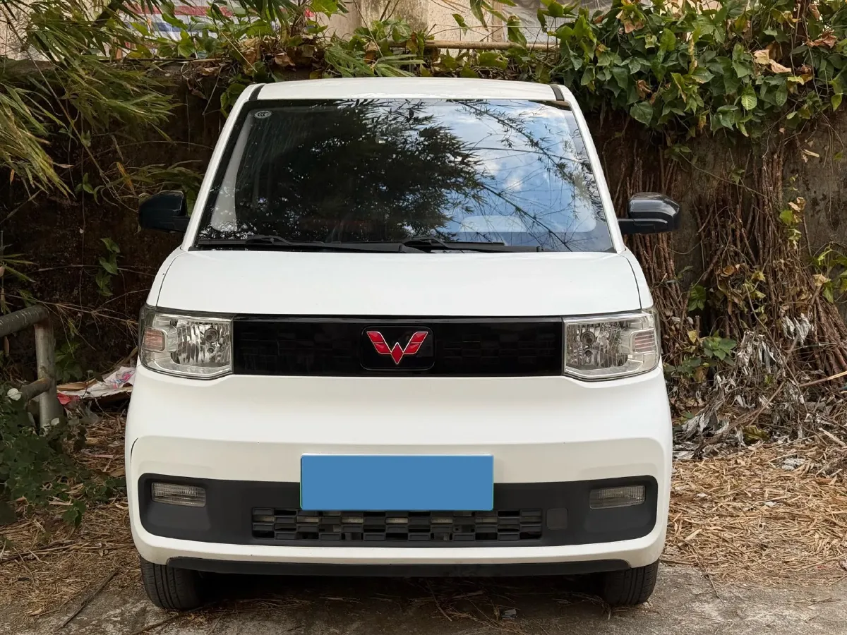 2020 WuLing HongGuang MINI EV BEV 9.3KWH,autocango,china used car exporter,china ev exporter,chinese used car exporter,chinese used ev exporter