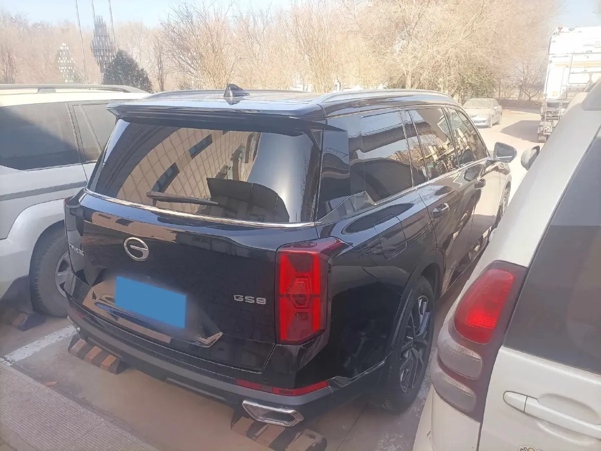 2024 GAC Trumpchi GS8 2.0T 252HP L4 8AT,autocango,china used car exporter,china ev exporter,chinese used car exporter,chinese used ev exporter