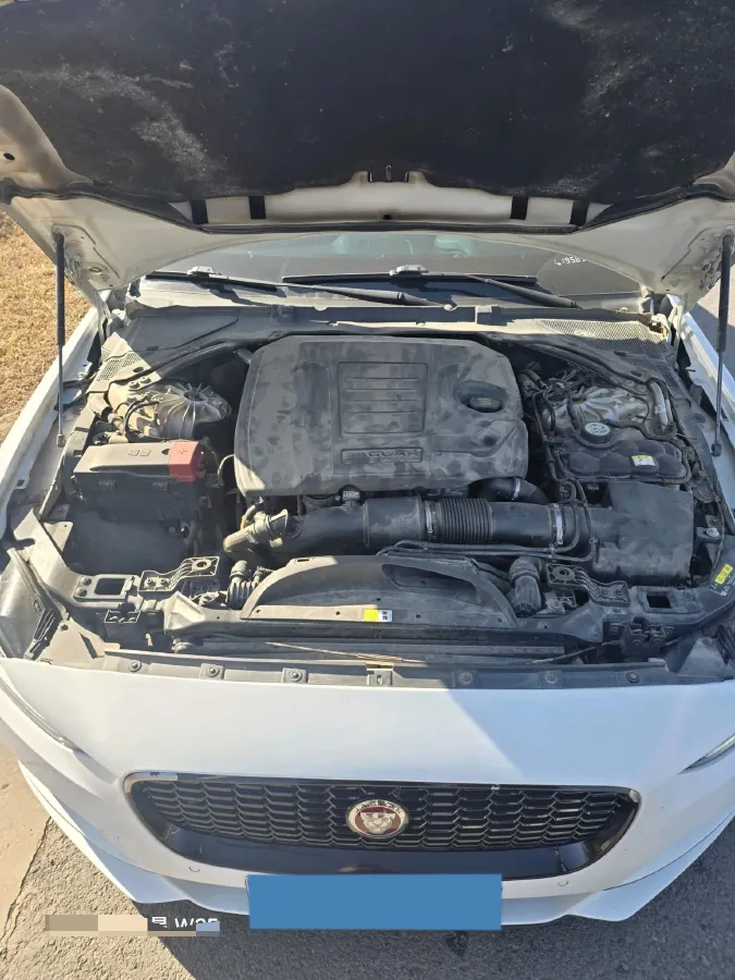 2021 Jaguar XEL 2.0T 250HP L4 8AT,autocango,china used car exporter,china ev exporter,chinese used car exporter,chinese used ev exporter