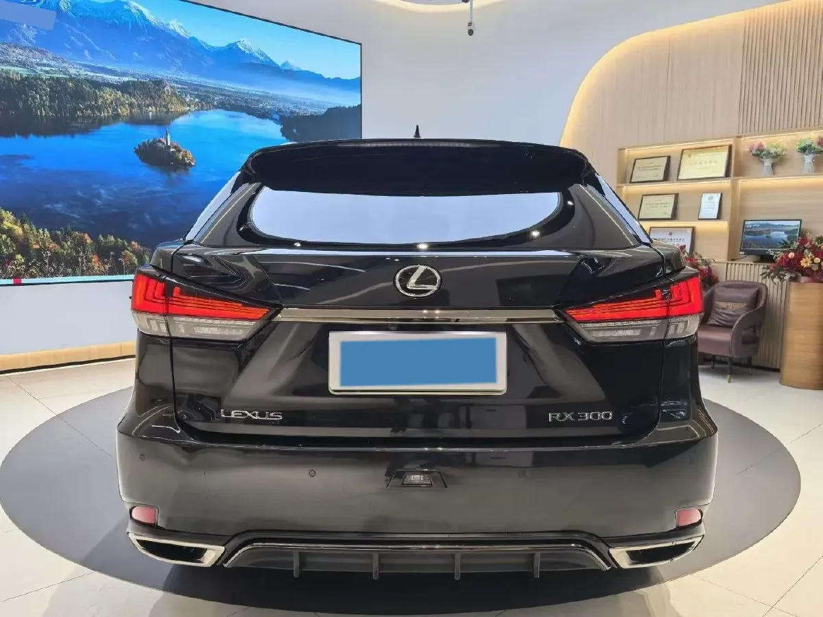 2020 Lexus RX 2.0T 238HP L4 6AT,autocango,china used car exporter,china ev exporter,chinese used car exporter,chinese used ev exporter