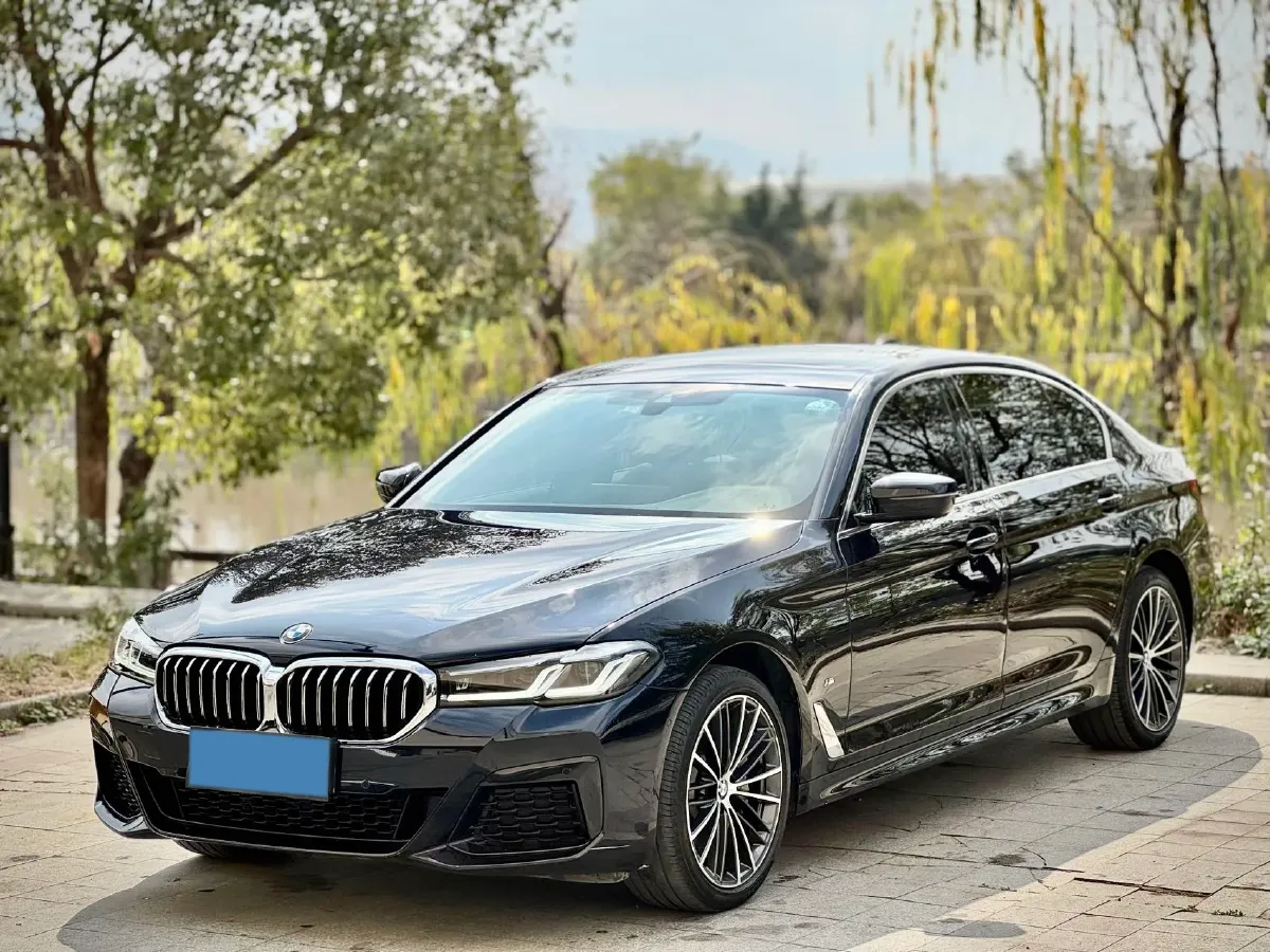 2023 BMW 5 Series 2.0T 245HP L4 8AT,autocango,china used car exporter,china ev exporter,chinese used car exporter,chinese used ev exporter