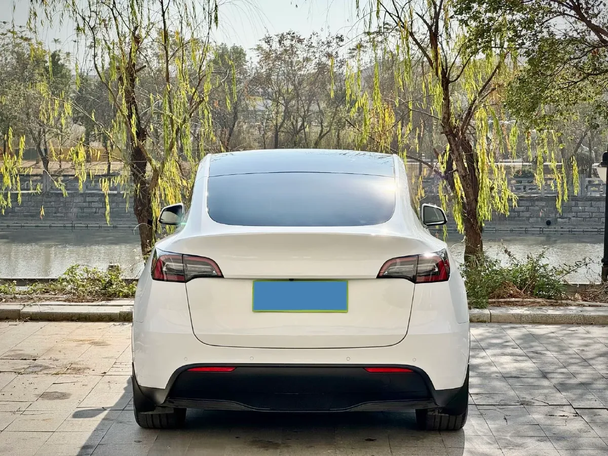 2021 Tesla Model Y BEV 60KWH,autocango,china used car exporter,china ev exporter,chinese used car exporter,chinese used ev exporter