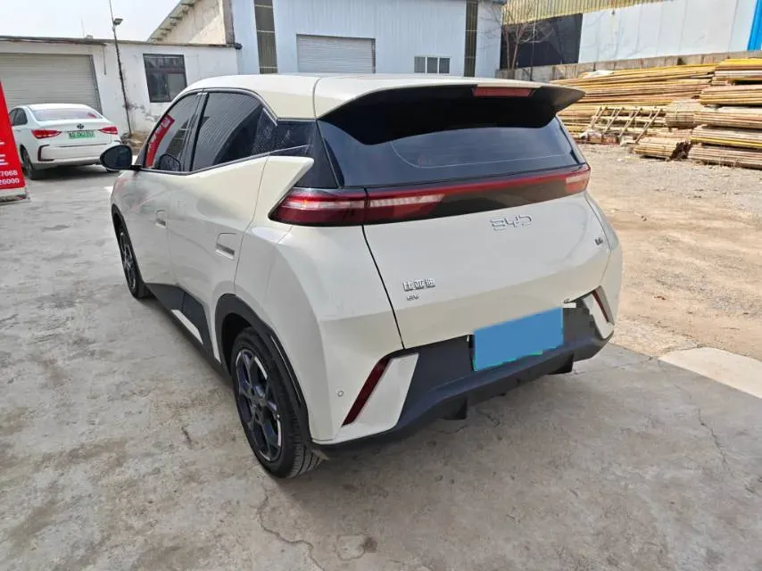 2024 BYD Seagull BEV 30.08KWH,autocango,china used car exporter,china ev exporter,chinese used car exporter,chinese used ev exporter