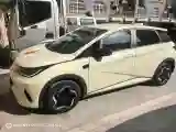 2025 BYD Dolphin BEV 44.928KWH