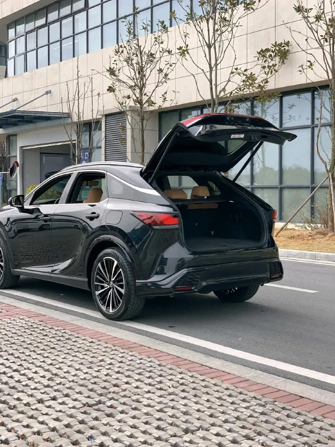 2023 Lexus RX 2.5L 189HP L4 E-CVT Hybrid,autocango,china used car exporter,china ev exporter,chinese used car exporter,chinese used ev exporter