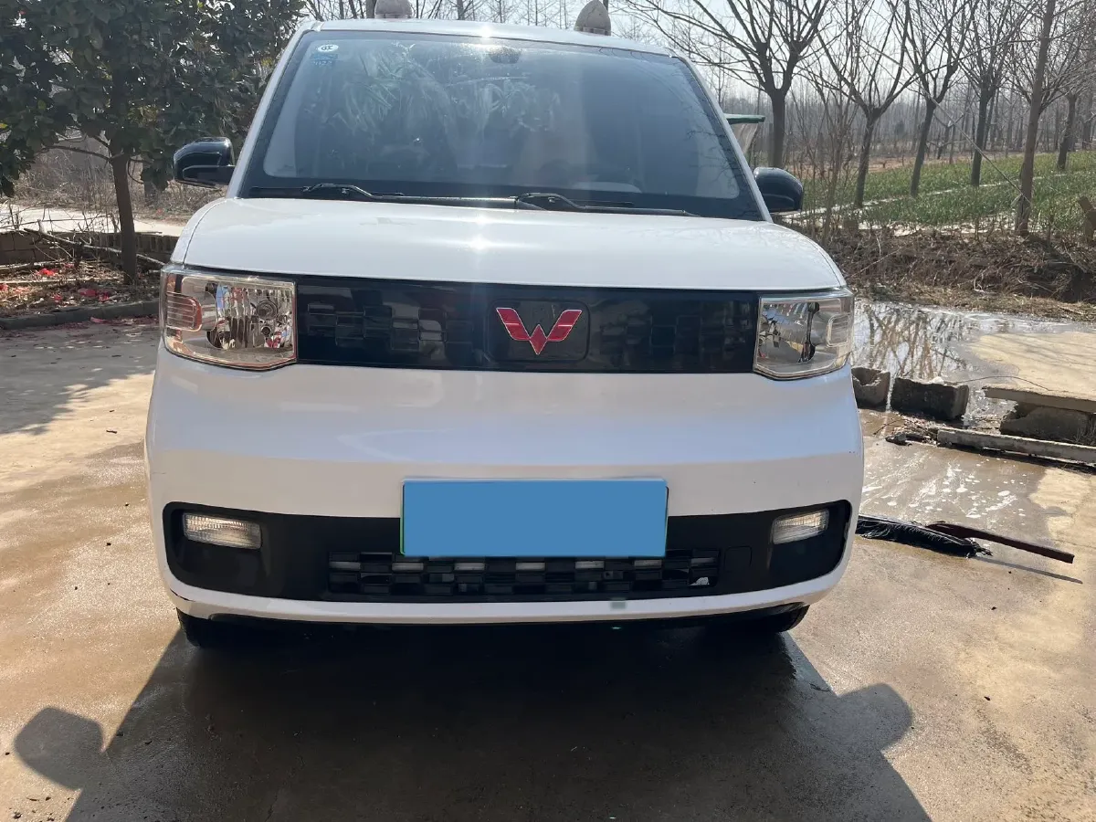 2020 WuLing HongGuang MINI EV BEV 13.8KWH,autocango,china used car exporter,china ev exporter,chinese used car exporter,chinese used ev exporter
