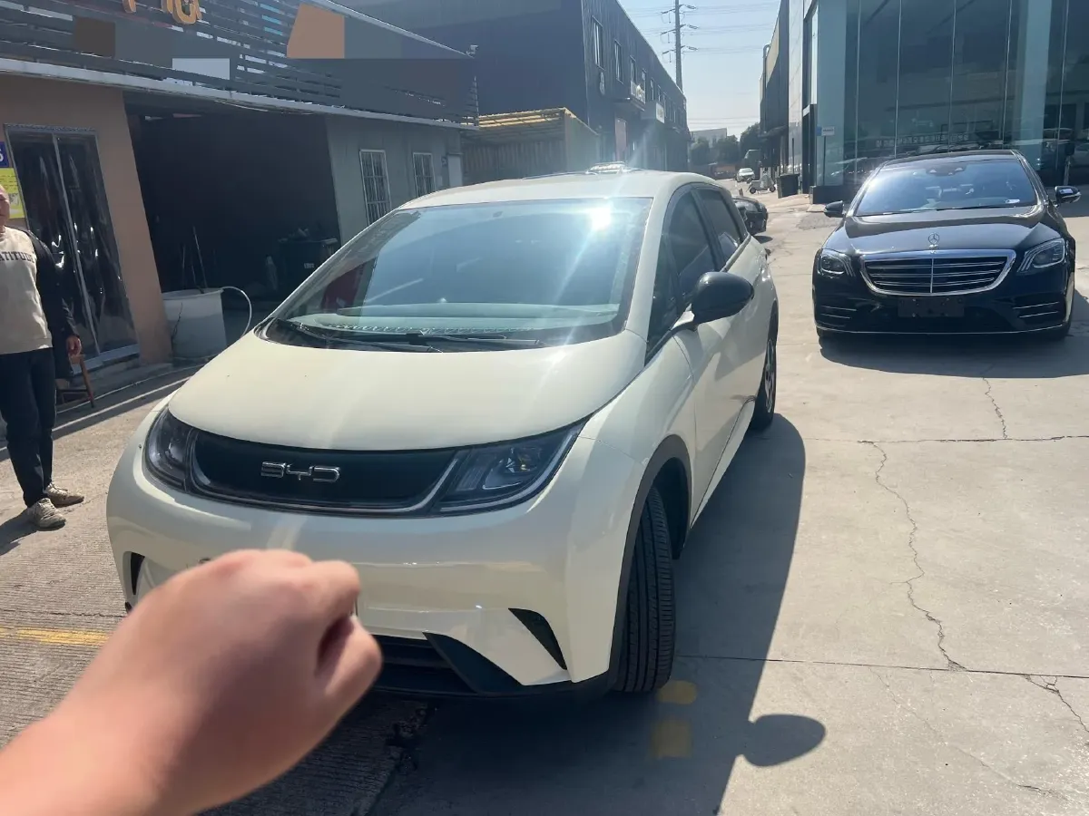 2025 BYD Dolphin BEV 44.928KWH,autocango,china used car exporter,china ev exporter,chinese used car exporter,chinese used ev exporter