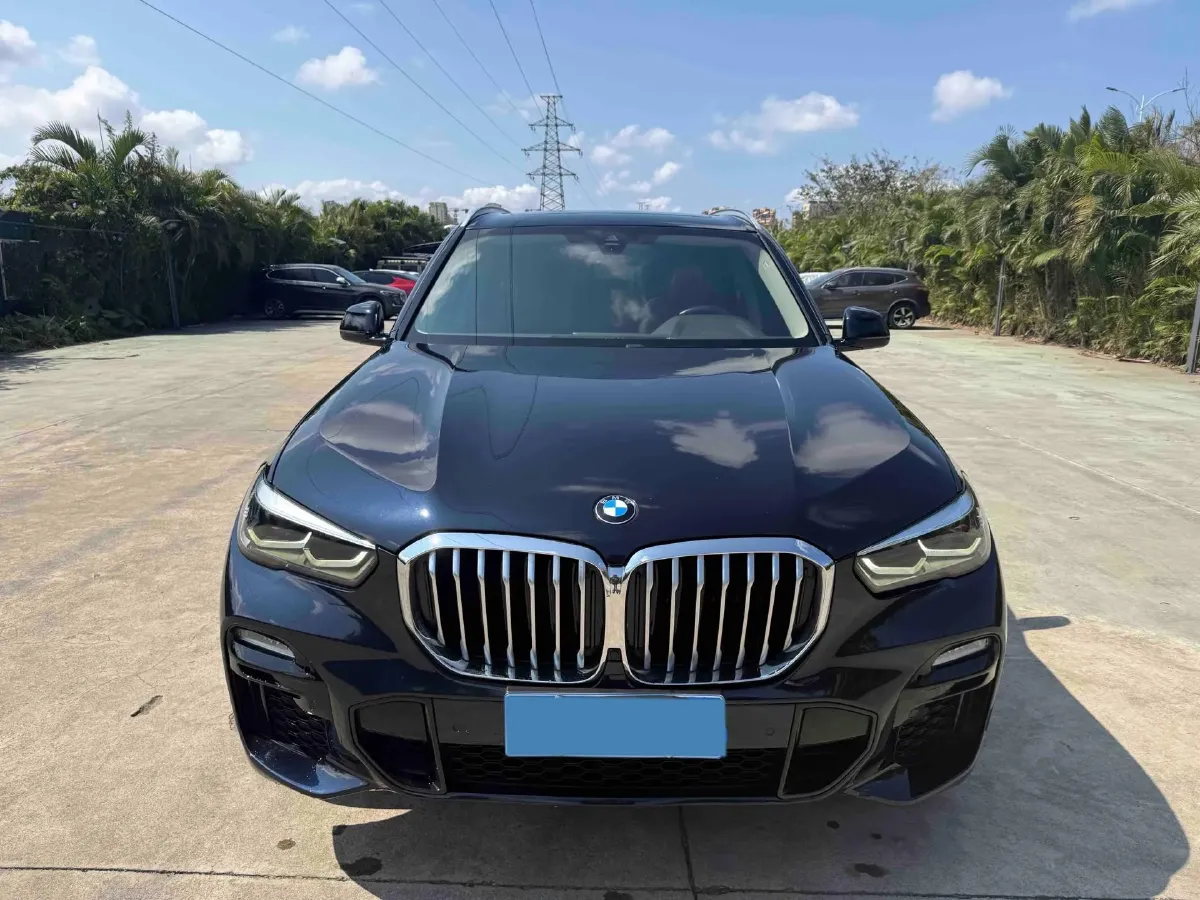 2020 BMW X5 2.0T 265HP L4 8AT,autocango,china used car exporter,china ev exporter,chinese used car exporter,chinese used ev exporter