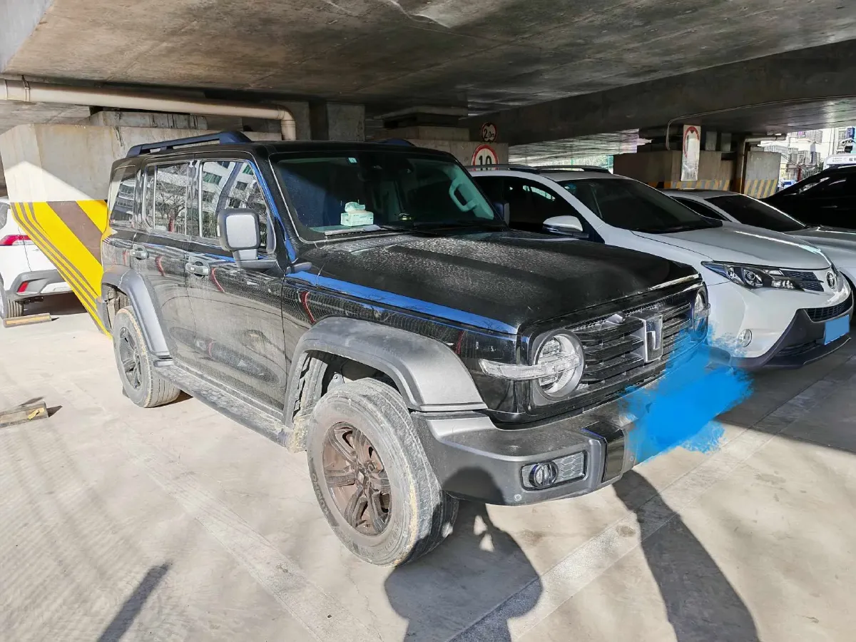 2024 Tank 300 2.0T 227HP L4 8AT,autocango,china used car exporter,china ev exporter,chinese used car exporter,chinese used ev exporter