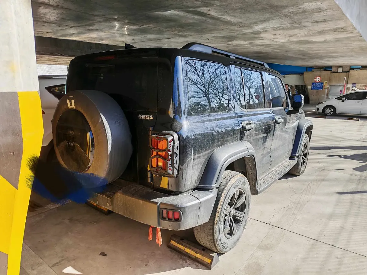 2024 Tank 300 2.0T 227HP L4 8AT,autocango,china used car exporter,china ev exporter,chinese used car exporter,chinese used ev exporter