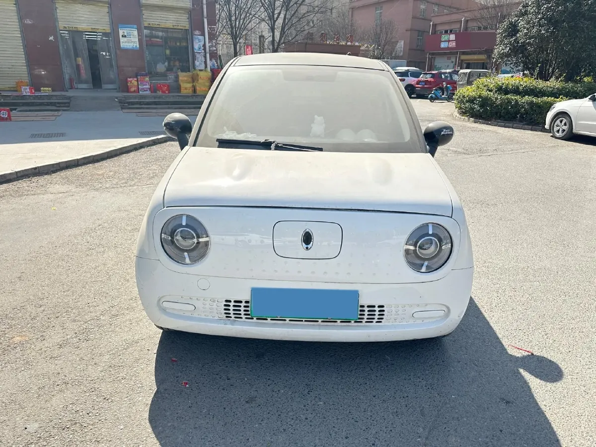 2019 Ora BlackCat BEV 28.5KWH,autocango,china used car exporter,china ev exporter,chinese used car exporter,chinese used ev exporter