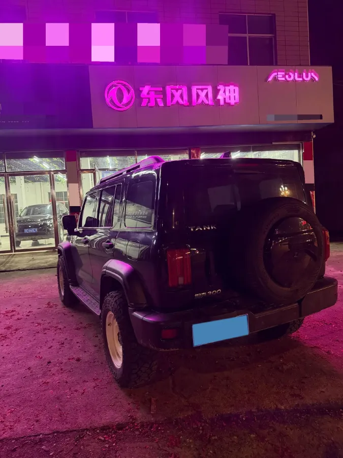 2023 Tank 300 2.0T 227HP L4 8AT,autocango,china used car exporter,china ev exporter,chinese used car exporter,chinese used ev exporter