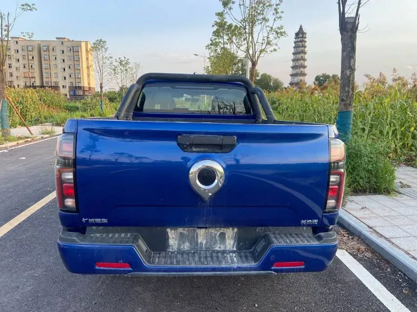 2023 Great Wall Poer 2.0T 166HP L4 8AT,autocango,china used car exporter,china ev exporter,chinese used car exporter,chinese used ev exporter