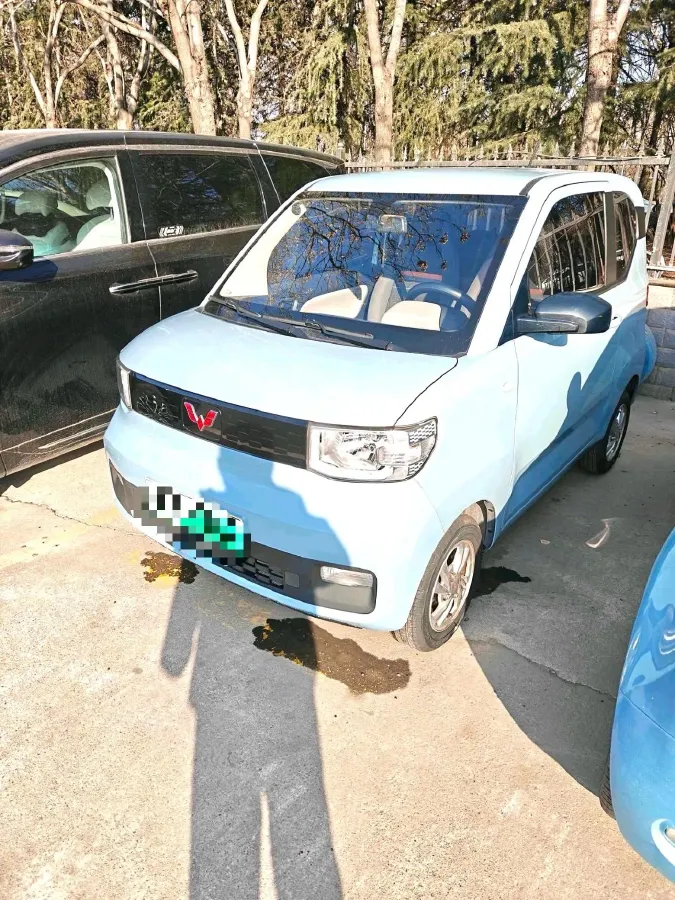 2020 WuLing HongGuang MINI EV BEV 9.3KWH,autocango,china used car exporter,china ev exporter,chinese used car exporter,chinese used ev exporter