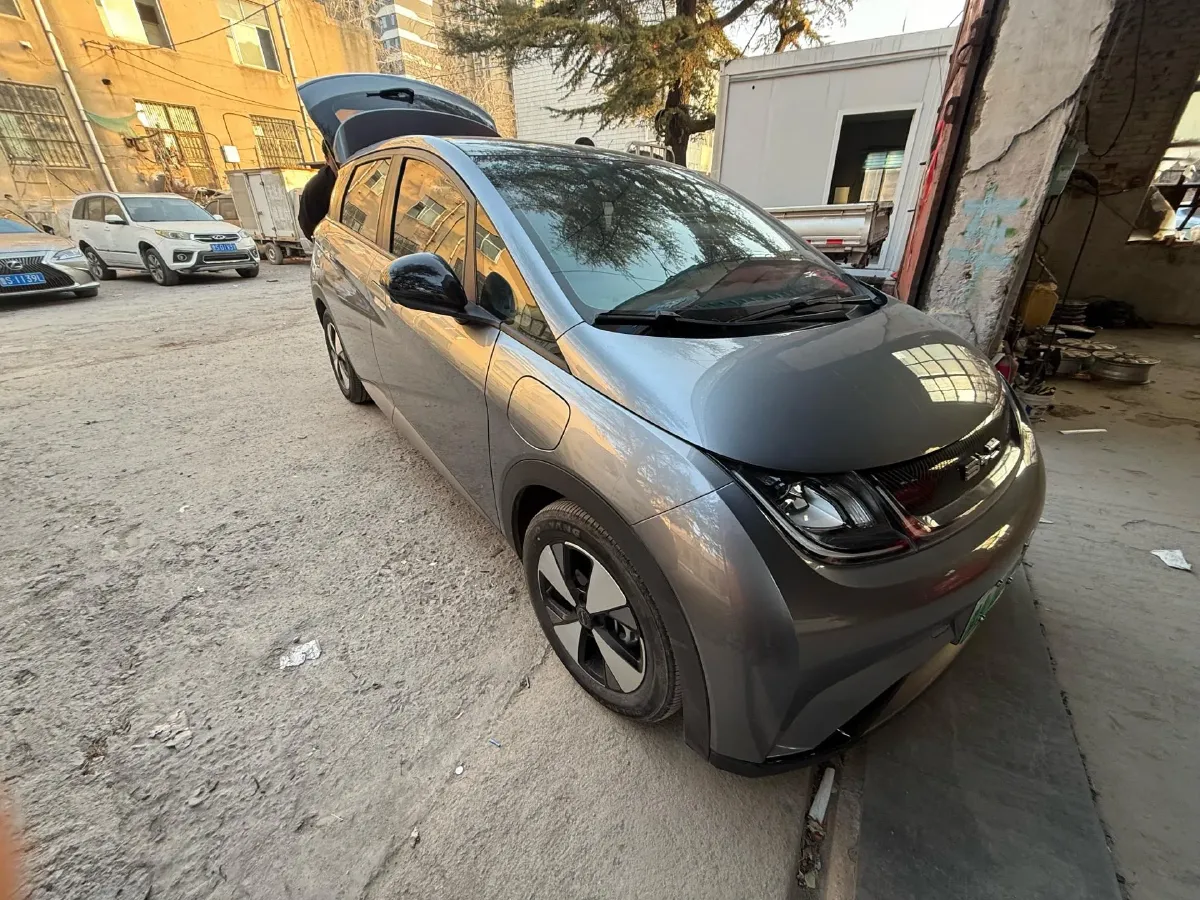 2023 BYD Dolphin BEV 44.928KWH,autocango,china used car exporter,china ev exporter,chinese used car exporter,chinese used ev exporter